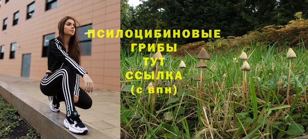дурь Аркадак
