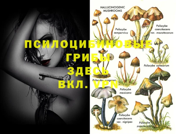 дурь Аркадак